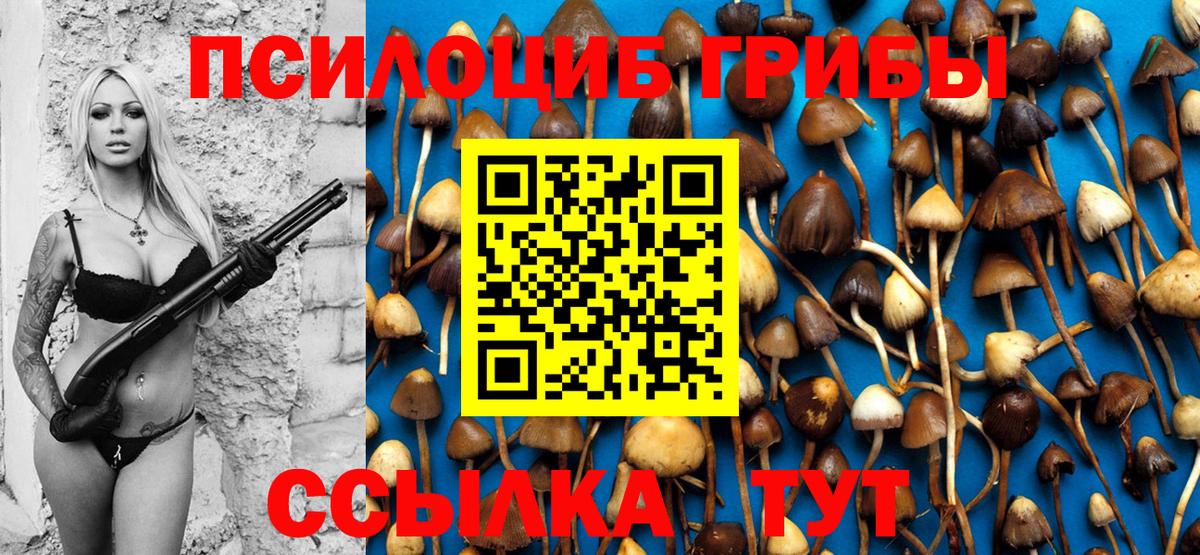 Псилоцибиновые грибы MAGIC MUSHROOMS  Галлюциногенные грибы GOLDEN TEACHER  Видное  Вход с VPN 